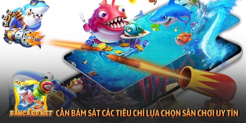 Cần bám sát các tiêu chí lựa chọn sân chơi uy tín